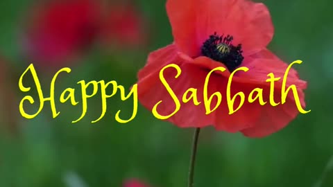 The sabbath was made for man, and not man for the sabbath: