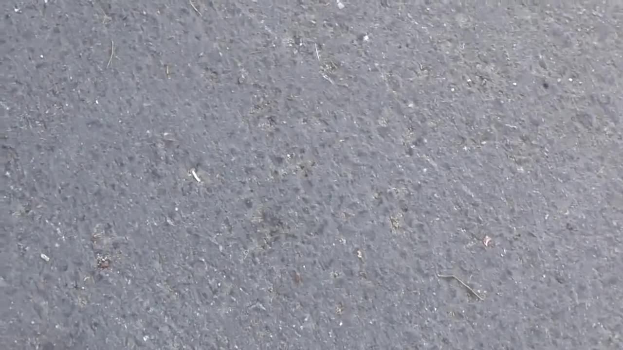 442. Car and RV Attacked the Same Day!