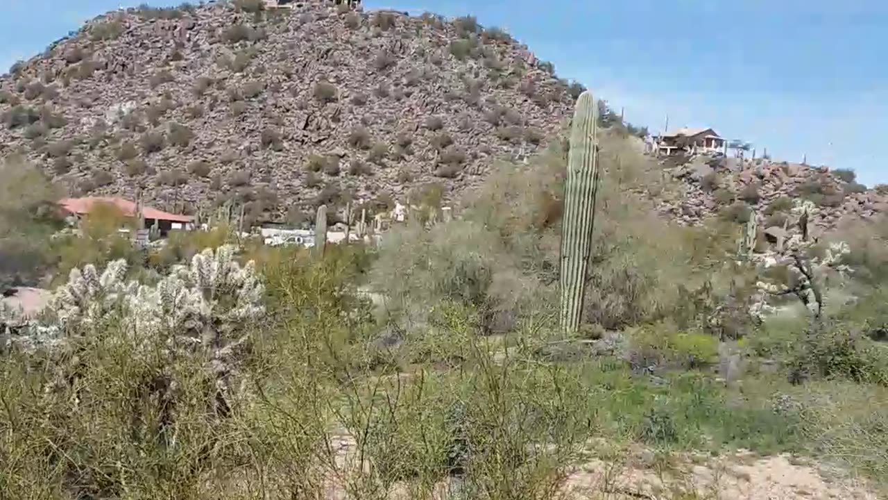 Mansions on rock mountains in Apache Junction Arizona 3/8/23