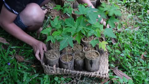 Make a pumpkin rig on the pond on a rainy heavy day, Revealing Duong private life. Primitive Skills