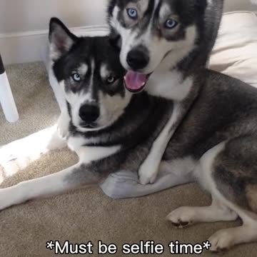 All i heard is “no👹”