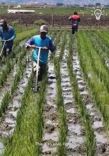 Look at these gardening hacks!