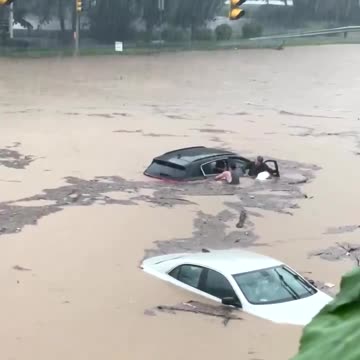 Man recuses driver and his dog from floodwater in Southbury Plaza, CT