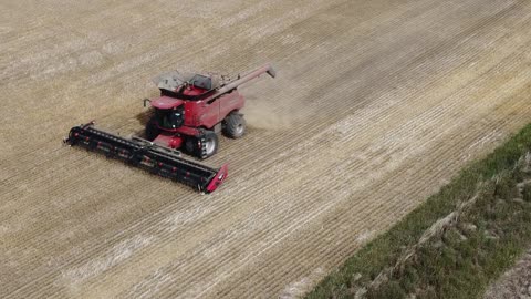 Jaysen Farms Ltd.
