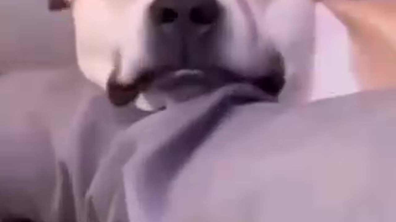 Sweet dreams little baby!!!