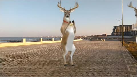 Dancing Reindeer