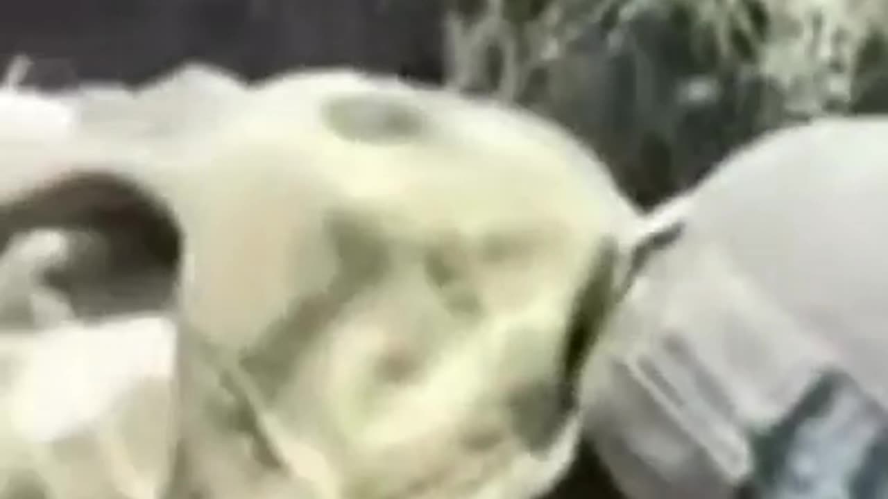 🚀 Bradley Covering Soldiers of the 47th Brigade in Russian Trench | Real Combat Footage