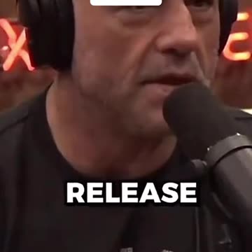 GMO mosquitos coming