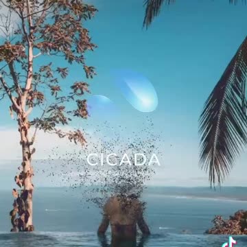 It won’t matter,you will win📝📱🌐 #motivation #motivationalvideo #motivationalquotes