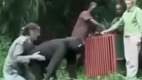 Back to their Habitat