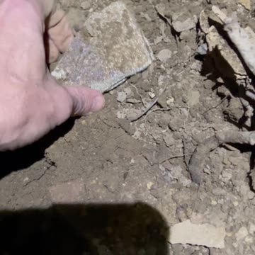 Cahaba X Shines @ Night