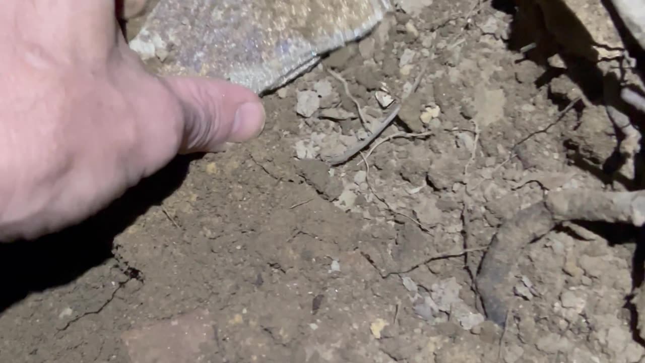 Cahaba X Shines @ Night