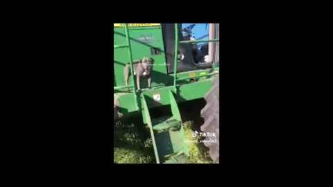 Hilariously Embarrassing Human Moments 😂🙈"