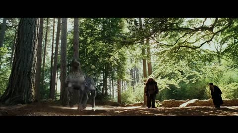 Meet buckbeak|Harry Potter and the prisoner of the Azkaban