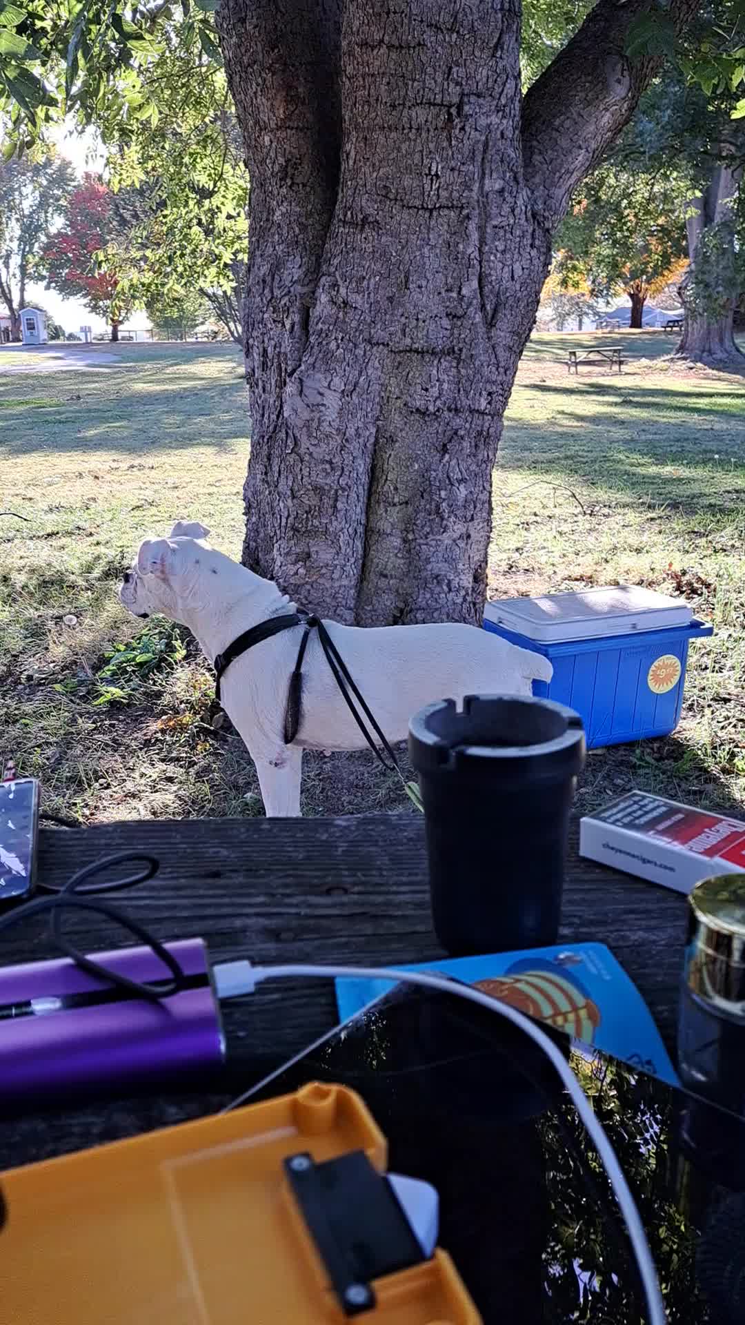 1791 storm trooper #j6#freedomcorner Jan 15