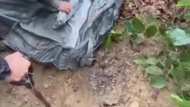 A Amazônia não é para amadores.