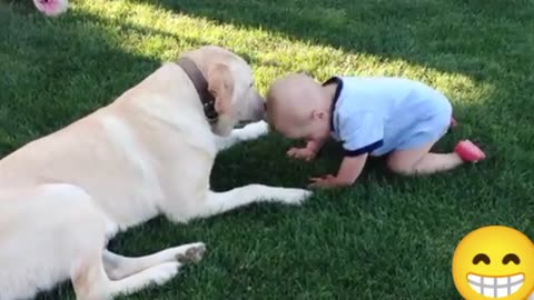 Funny babies and cute dogs loving & caring eachother (funny & cute momments)