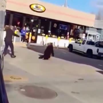 WITCH attempts to use the DARK FORCE! Gets ZAPPED BY Greater Force ⚡- Reloaded from STRANGER THAN FICTION NEWS