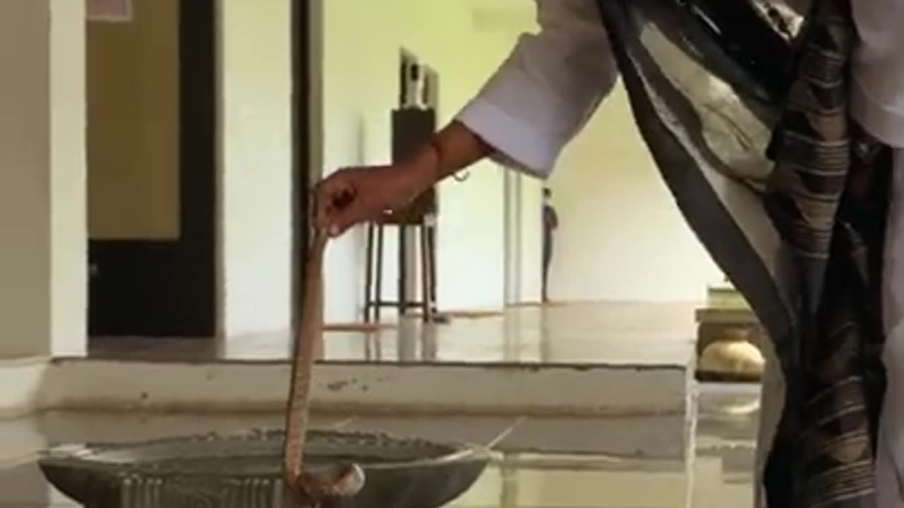 Sadhguru Handles a Cobra: A Brush with the Serpentine