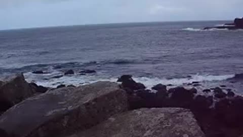 Giant's Causeway