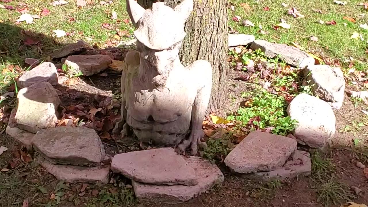 Schizophrenia