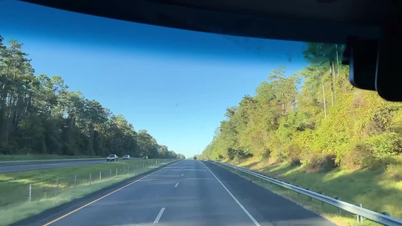 LGBTRUMPMONKEY 🏳️‍🌈 SSSS CON BY SON IN LAW