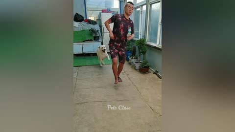 New Funny Animals 😂 Funniest Dogs and Cats Videos