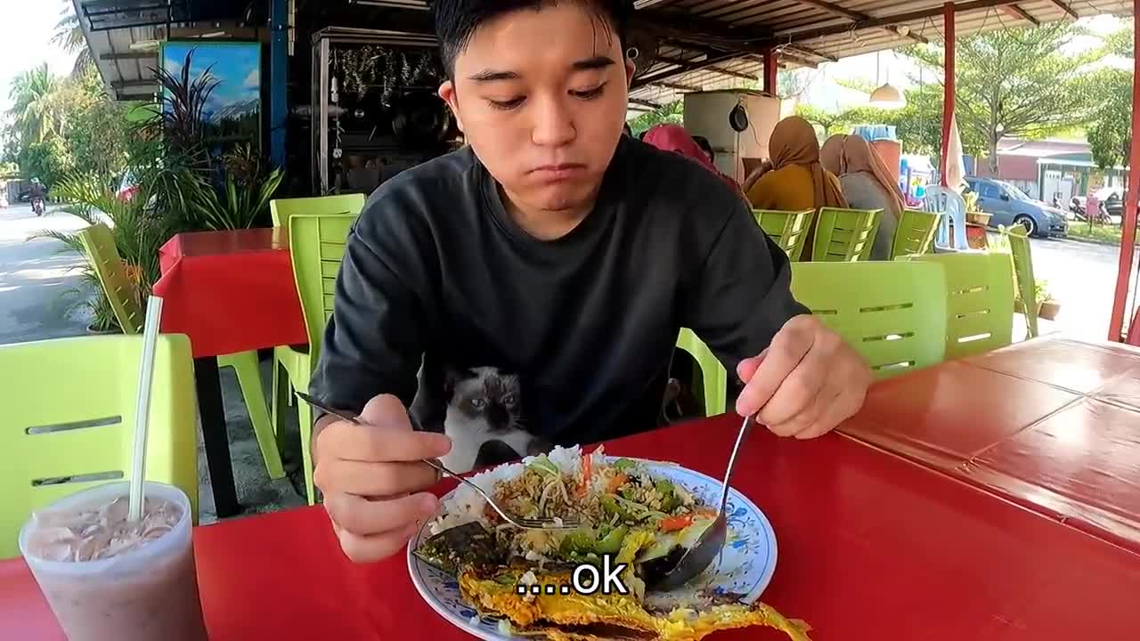 Even a CAT falls in love with “Heaven” Malaysian Food 🇲🇾