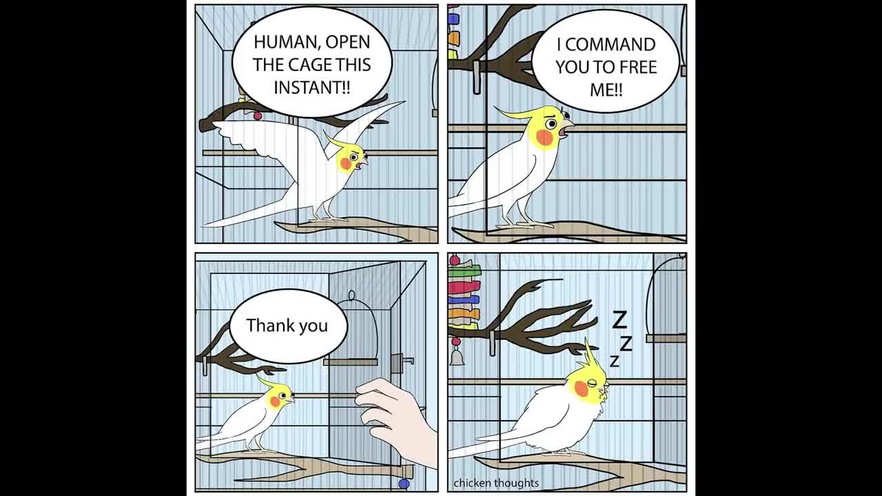 Comics With A Parrot Twist