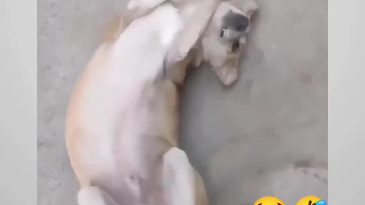 Dancer
