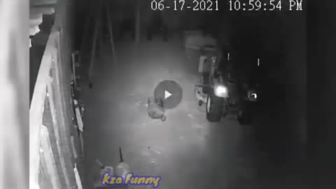 Incredible Moments Caught on CCTV Camera