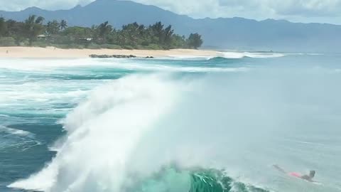 "Thrilling Moments: People Surfing on Big Waves | Epic Ocean Adventures"