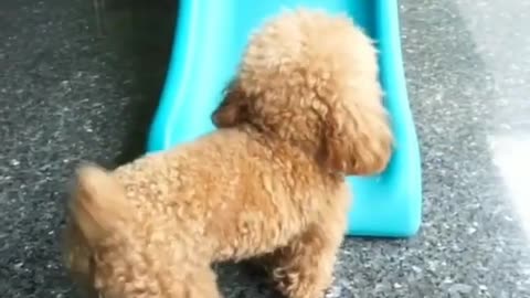 i'm going up