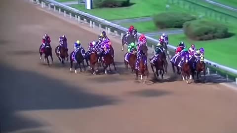 Horse Racing at Honeymoon is Over Downs