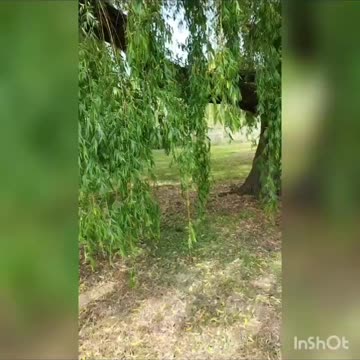 'The Young Man & The Old Man' - Ch 8