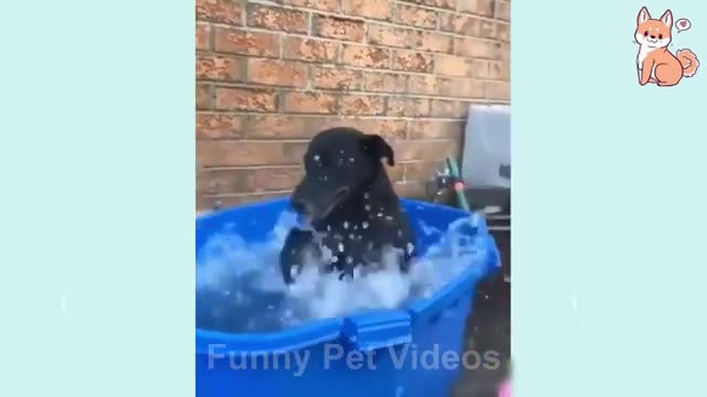 Funny Fails Compilation # 176