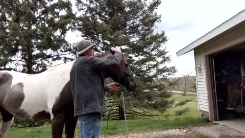 Electric Clipper training - Avi - 4 May 2023