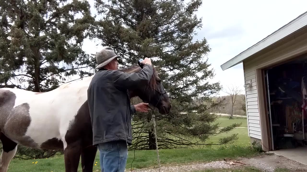 Electric Clipper training - Avi - 4 May 2023