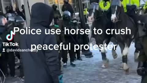 Police use horses to crush peaceful protesters