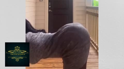😍🍑EXOTIC BADDIES 😈TWERKING COMPILATION PT 8🍑 