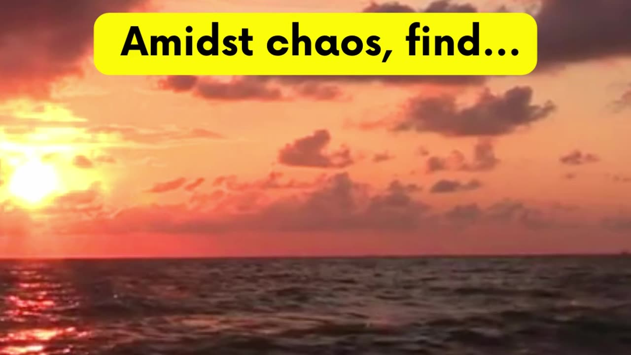 Amid chaos #shorts #shortvideos #PositiveEnergy #NoLimits