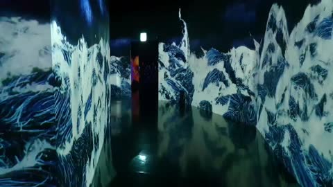 teamLab:LIFE exhibition 10