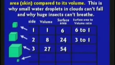 why don't we have giant insects today..is the sun shrinking .