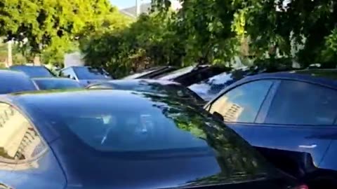 Tesla Cybertrucks got cyberf*cked in a parking lot they leased to park their production..
