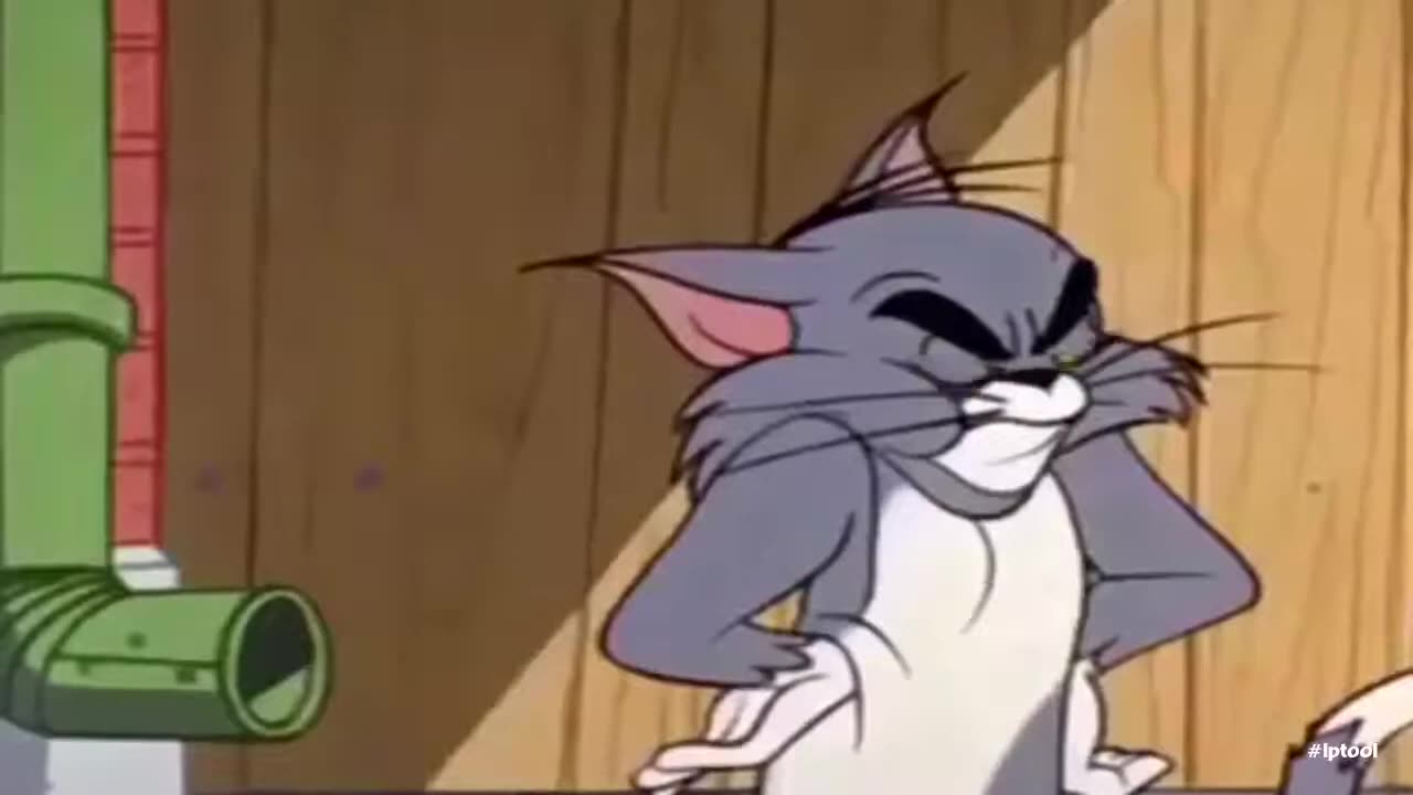 Tom and Jerry Throwback episode with full comedy to fresh start in 2024