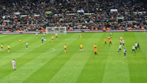 Newcastle vs Wol