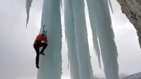 The World Biggest Climbing