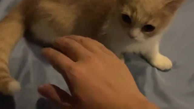 Not happy to be bitten