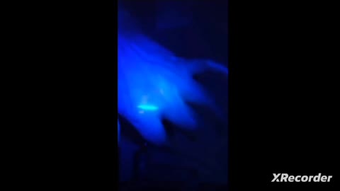 손(루.레)