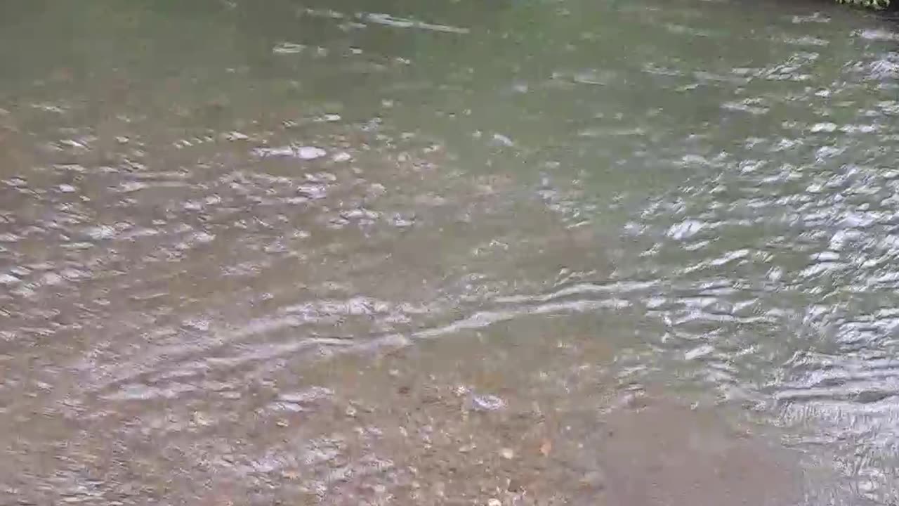 THIS IS WHAT AMERICANS need to know. Cambell Creek, Alaska 7/11/23